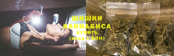 ПСИЛОЦИБИНОВЫЕ ГРИБЫ Абаза