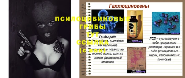 ПСИЛОЦИБИНОВЫЕ ГРИБЫ Абаза