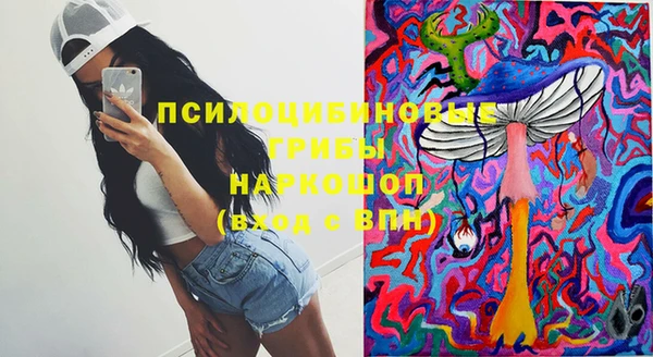 эйфоретик Абинск